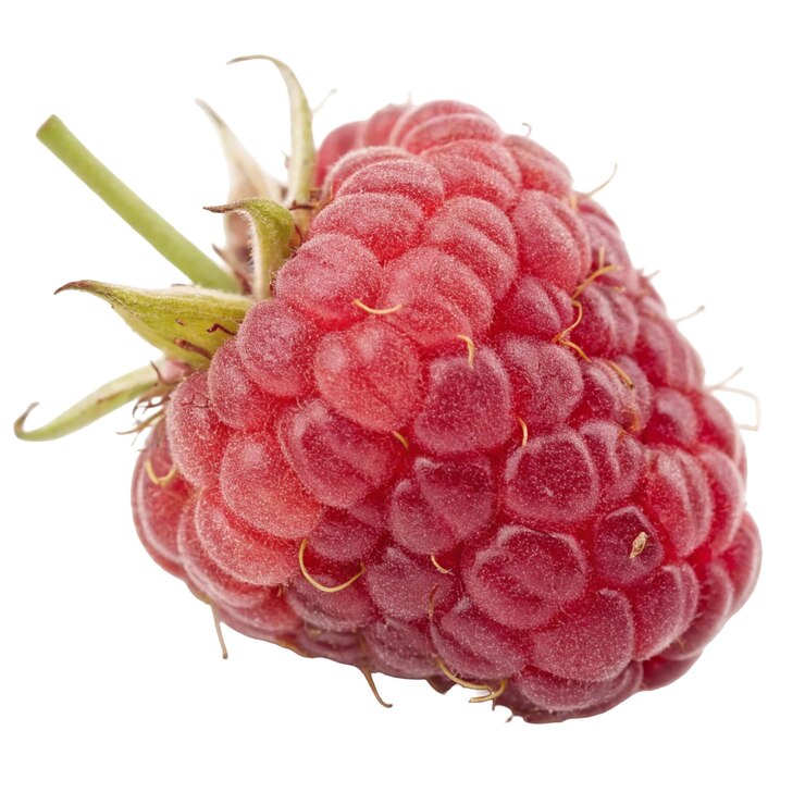 PSD raspberry isolated cleanly on a white background perfect for antioxidant visuals and berry content