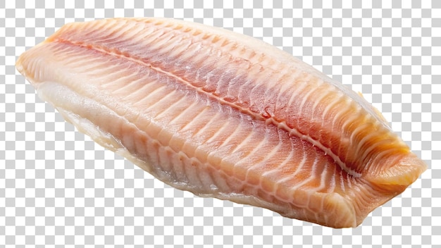 Raw fresh fish fillet isolated on transparent background