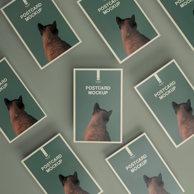 real postcard mockup design