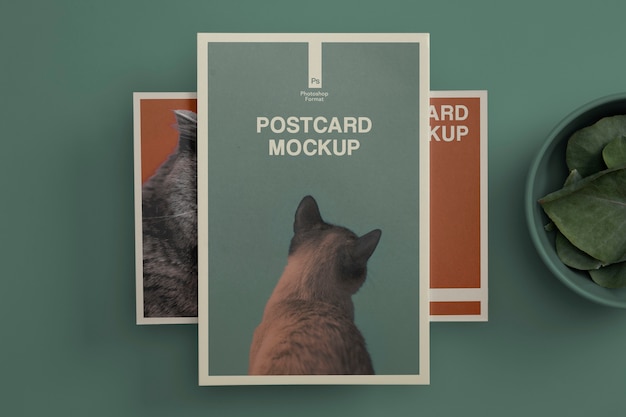 PSD real postcard mockup design