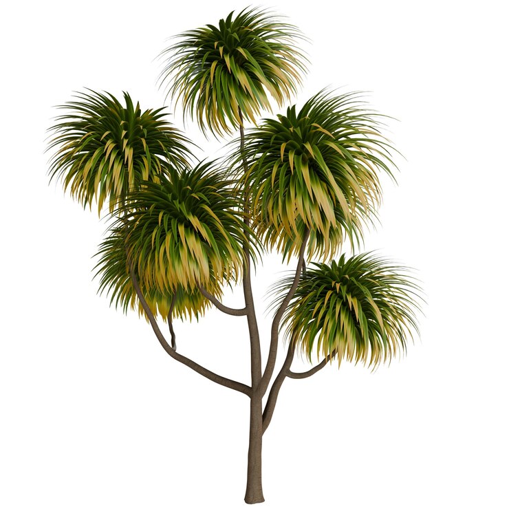 PSD realistic 3d cartoon of a dracaena reflexa plant