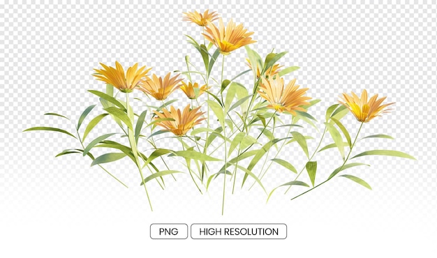 PSD Реалистичная 3d gazania linearis прозрачная цветочная иллюстрация