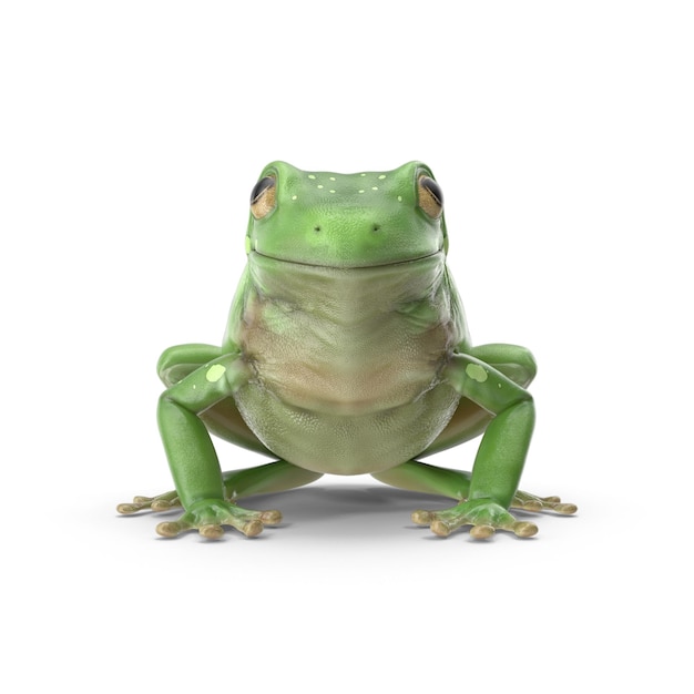 realistic 3d green tree frog psd files detailed wildlife and amphibian art