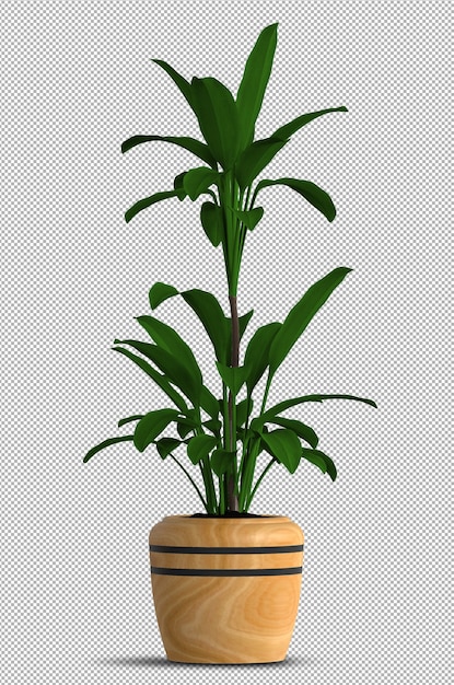 分離された鉢植えのリアルな3dレンダリング