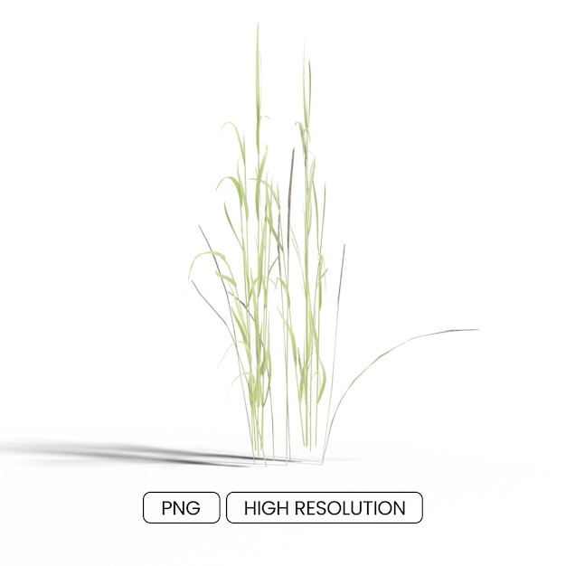 PSD realistic 3d yellow tall grass transparent illustration with shadow