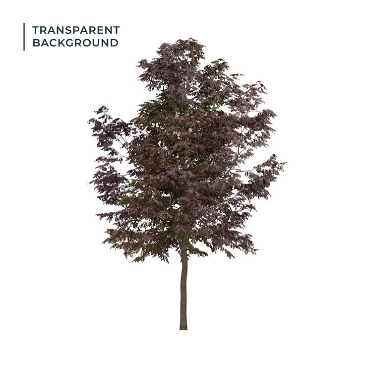 PSD realistic autumn tree with brown leaves on transparent background for seasonal and nature designs