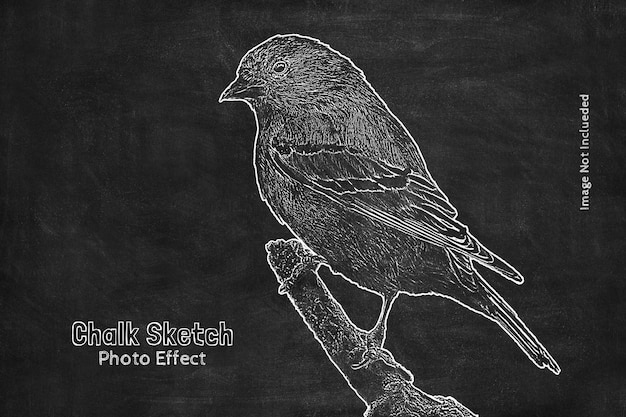 PSD realistic black board chalk sketch photo effect