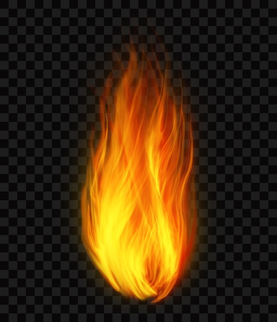 PSD realistic burning fire flame on a black background png realistic fire effect