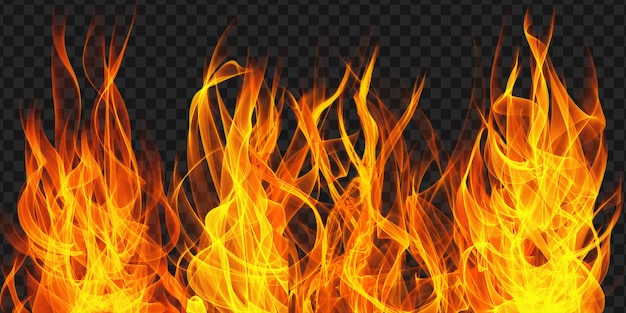 Realistic burning fire flames on black background.