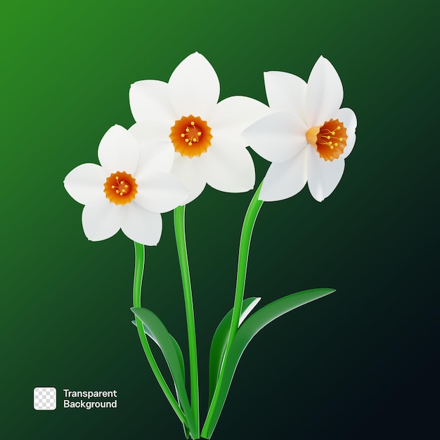 realistic flower 3d png template