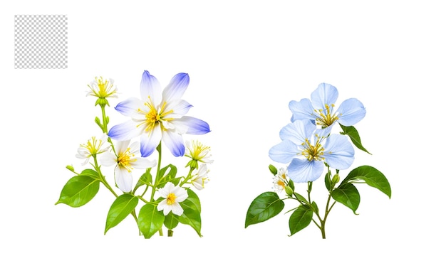 Set di png bouquet di fiori realistico