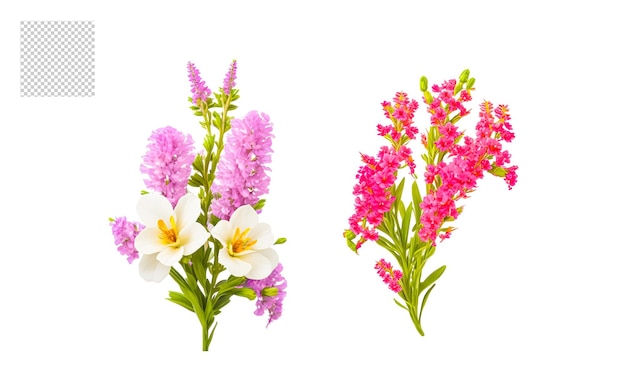 PSD realistic flower bouquet png set