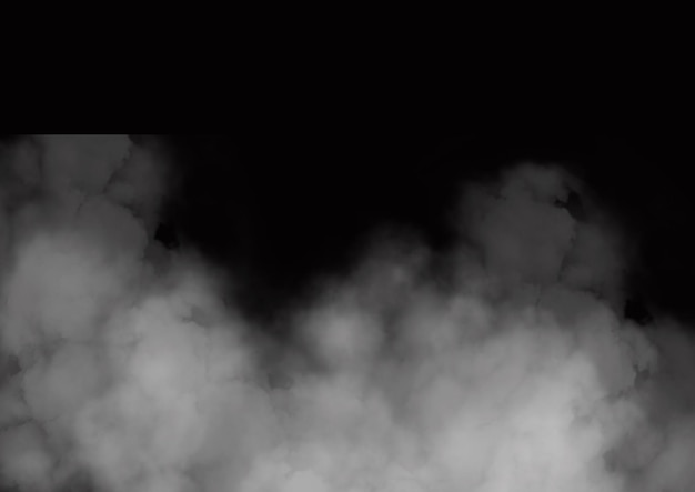 PSD realistic fog background