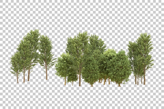 Realistic forest isolated on transparent background 3d rendering illustration