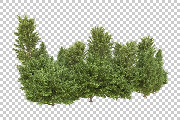 Realistic forest isolated on transparent background 3d rendering illustration