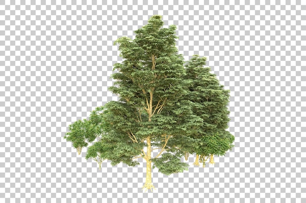 PSD Реалистичный лес, изолированный на прозрачном фоне 3d-илюстрации