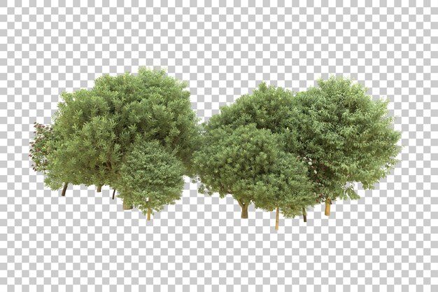 Realistic forest isolated on transparent background 3d rendering illustration