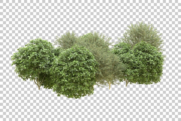 Realistic forest isolated on transparent background 3d rendering illustration
