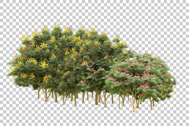 realistic forest isolated on transparent background 3d rendering illustration
