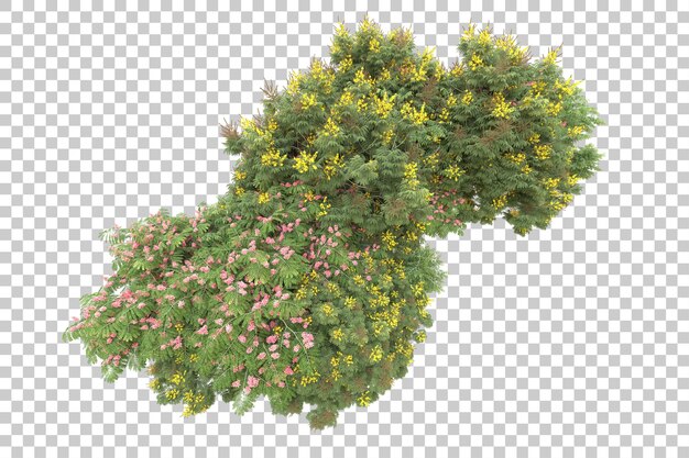 Realistic forest isolated on transparent background 3d rendering illustration