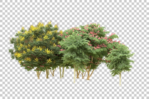 realistic forest isolated on transparent background 3d rendering illustration