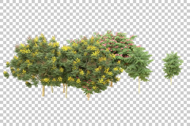 Realistic forest isolated on transparent background 3d rendering illustration