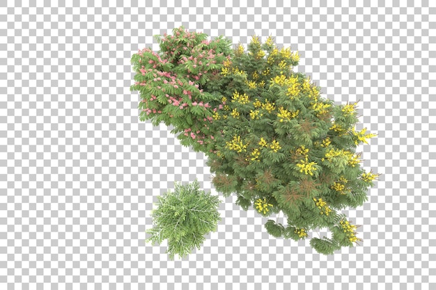 Realistic forest isolated on transparent background 3d rendering illustration