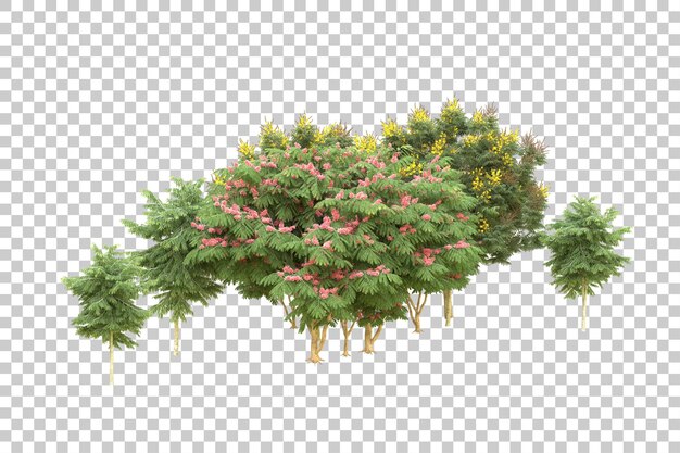 Realistic forest isolated on transparent background 3d rendering illustration