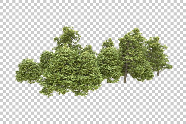 Realistic forest isolated on transparent background 3d rendering illustration