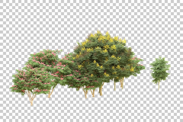 realistic forest isolated on transparent background 3d rendering illustration