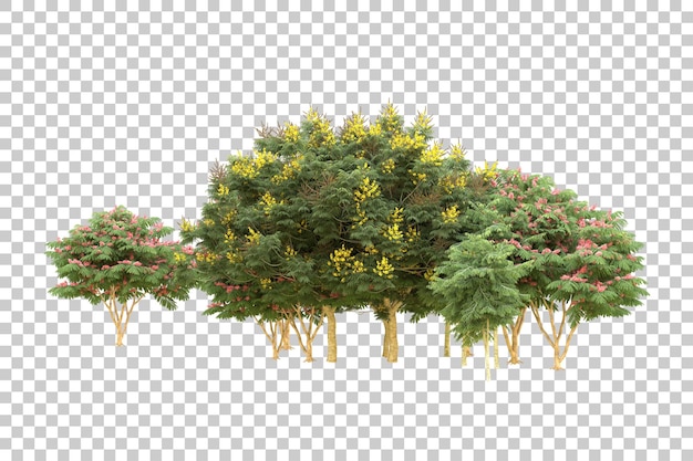 realistic forest isolated on transparent background 3d rendering illustration