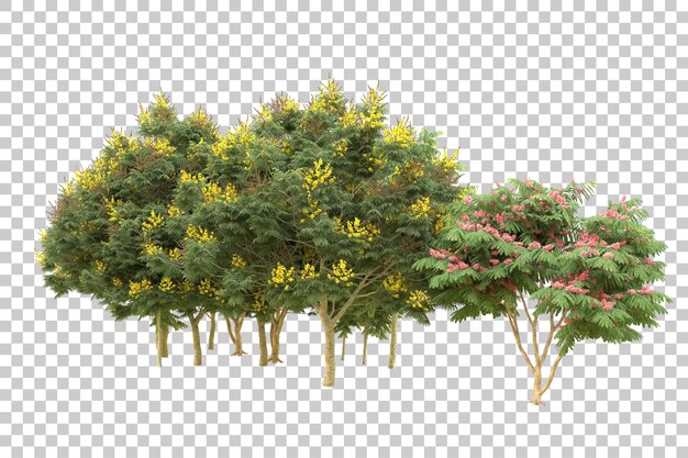 realistic forest isolated on transparent background 3d rendering illustration