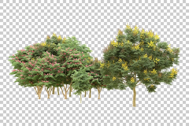 realistic forest isolated on transparent background 3d rendering illustration