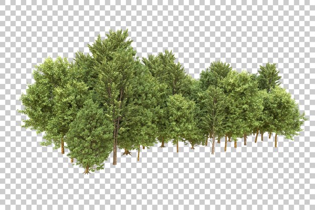 PSD realistic forest isolated on transparent background 3d rendering illustration