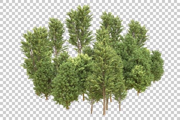 PSD foresta realistica isolata su sfondo trasparente illustrazione di rendering 3d