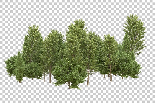 Foresta realistica isolata su sfondo trasparente illustrazione di rendering 3d