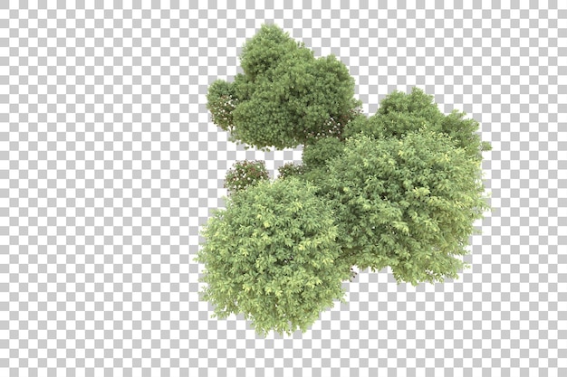 Realistic forest isolated on transparent background 3d rendering illustration