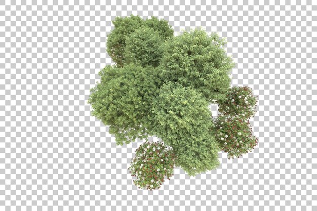 Realistic forest isolated on transparent background 3d rendering illustration