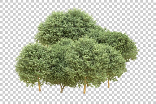 PSD realistic forest isolated on transparent background 3d rendering illustration