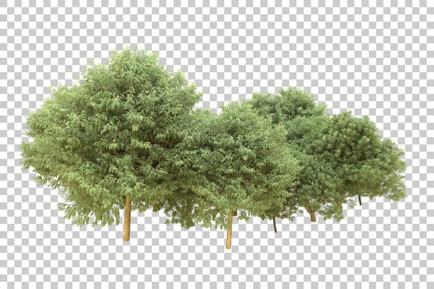 Realistic forest isolated on transparent background 3d rendering illustration