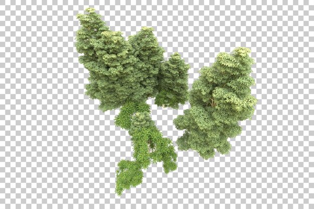 透明な背景に隔離された現実的な森林の3Dレンダリングイラスト