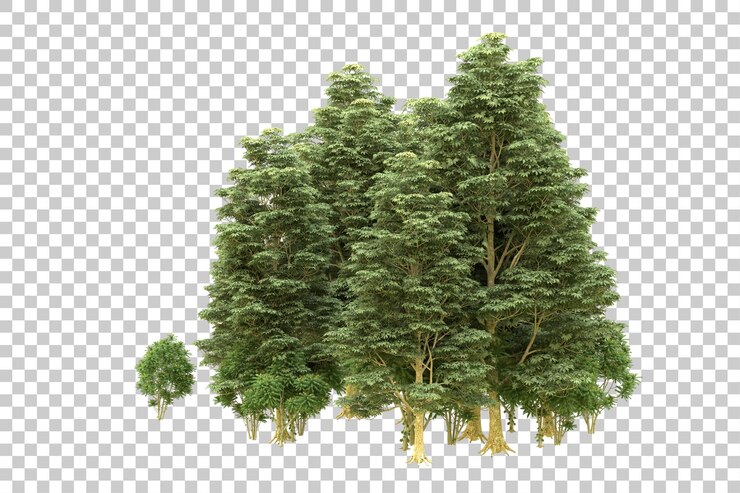 PSD realistic forest isolated on transparent background 3d rendering illustration