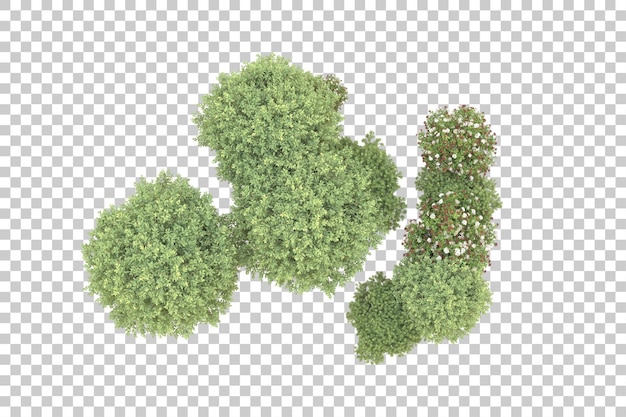 realistic forest isolated on transparent background 3d rendering illustration