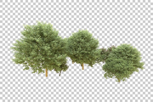 realistic forest isolated on transparent background 3d rendering illustration