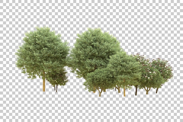 Realistic forest isolated on transparent background 3d rendering illustration