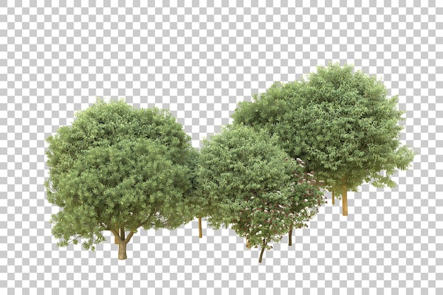 Realistic forest isolated on transparent background 3d rendering illustration