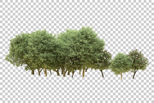 PSD realistic forest isolated on transparent background 3d rendering illustration