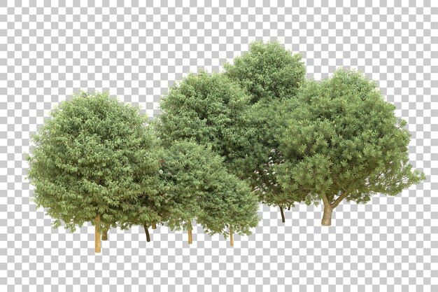 Realistic forest isolated on transparent background 3d rendering illustration
