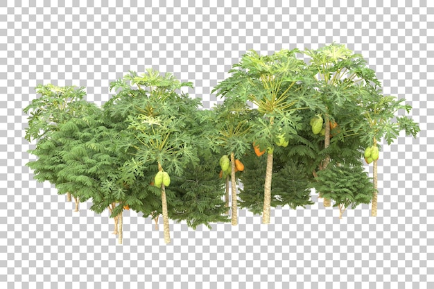 Realistic forest isolated on transparent background 3d rendering illustration
