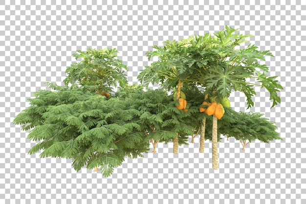 realistic forest isolated on transparent background 3d rendering illustration